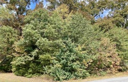 13,14 Forest Home Drive, Trinity, AL 35673