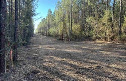 Straw Bridge Rd lot: 58, Jay, FL 32565