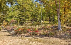 Lot 61 Restore Ridge, Harrison, AR 72601