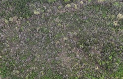 11.32 acre County Road 2228 (A), Hartman, AR 72840