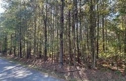 0 BIG LAKE Road, Pineville, LA 71360