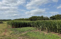 SW 53rd St, Topeka, KS 66610