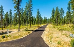 Lt 4 Blk 1 WALLACE LANE, Blanchard, ID 83804