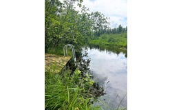 11786 Monarch Meadow, Grayling, MI 49738