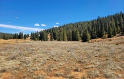 520 N Grassy Trail, Duck Creek, UT 84762