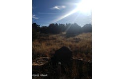 1786 Doughty Place, Show Low, AZ 85901