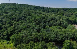 POTTS HILL RD - LOT 1 (D-1), ETTERS, PA 17319