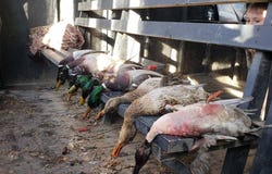 1 County Rd 45, Fillmore, MO 64449