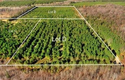 15 ACRES C WALLIN ROAD, COLFAX TWP, MI 49683