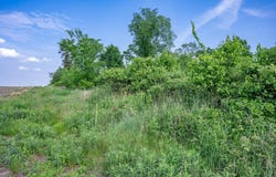 N6927 Schroeder Road, New Lisbon, WI 53950