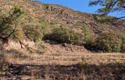 400 Colleen Canyon Trail, Fort Davis, TX 79734