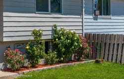 712 E 3rd Street, Rifle, CO 81650