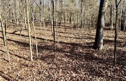 Zachary Trail, Rudy, AR 72952