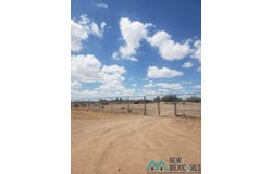 3900 CANTO RD SE, Deming, NM 88030