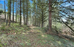 22900 NE HOLLY HILL Rd, Hillsboro, OR 97123