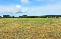 Tract 5 10.114 Acres Goen Road, Millsap, TX 76066