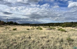 Warpath Rd, Quemado, NM 87829