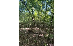 10 Boktuklo Preserve, Honobia, OK 74957