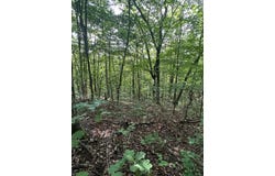 E Obey Lane lot: 371, Wilder, TN 38589