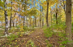 1540 Charmae Lane, Lacon, IL 61540