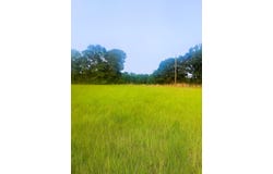 0 County Road 4, Slocomb, AL 36375