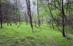 X Green Meadow Lane, Ararat, NC 27007