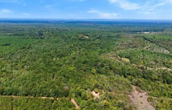 2000 Sand Ridge Road, Haworth, OK 74740