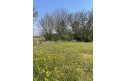 3540 Mark Welborn Road, Somerset, KY 42503