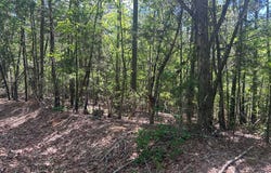 Havens Road, GRENADA, MS 38901