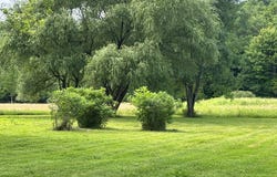 24483 US 6, Port Allegany, PA 16743