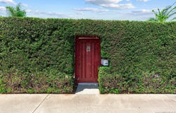 2677 Jefferson St, Carlsbad, CA 92008