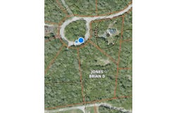 Map 218 Lot 67 Alden Washburn Drive, Tamworth, NH 03886