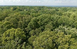 01 Abernathy Road, Flora, MS 39071