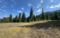 NHN Green Ridge Road, Noxon, MT 59853