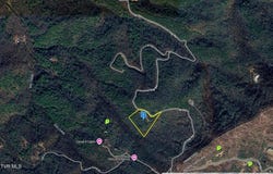 0 Locust Gap Road, Mountain City, TN 37683