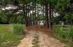 3237 Farm Road 3019, Winnsboro, TX 75494