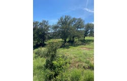 W25065 White Dove / Apache Tears, Horseshoe Bay, TX 78657