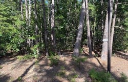 54 Alava Way, Hot Springs Village, AR 71909