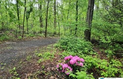 2244 Williams Church Road, Lower Saucon Twp, PA 18055