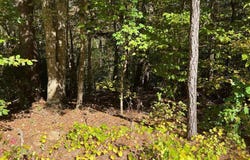 Lot 42 Waynes Ct, Bracey, VA 23919