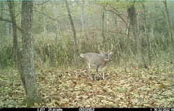 Hazel Run Road, Salineville, OH 43945
