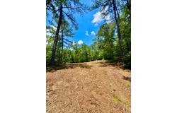 0 County Road 2, Double Springs, AL 35553