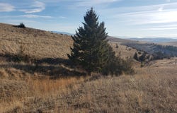 180 Lariat Loop, Garrison, MT 59731