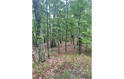 356 Orieole Court, Ranger, GA 30734