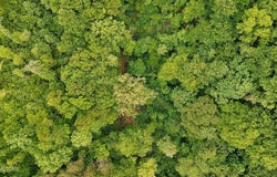 201 Birch Hollow Rd, Maynardville, TN 37807