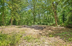 274 Pine Hill Drive SW, McDonald, TN 37353