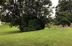00 East Andrew Johnson Highway, Greeneville, TN 37745