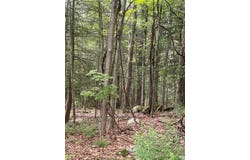 Lot 15 Colebrook River Rd, Tolland, MA 01034