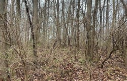 709 Sapphire Court, Lafayette, IN 47905
