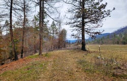 34XX NORTHPORT FLAT CREEK RD, KETTLE FALLS, WA 99141